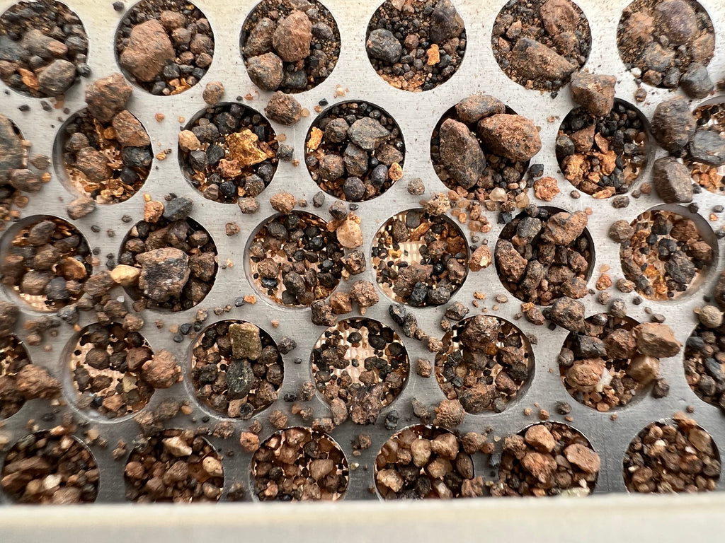 What 1/2 oz fine gold looks like in the supercon tray at end of day re-run.