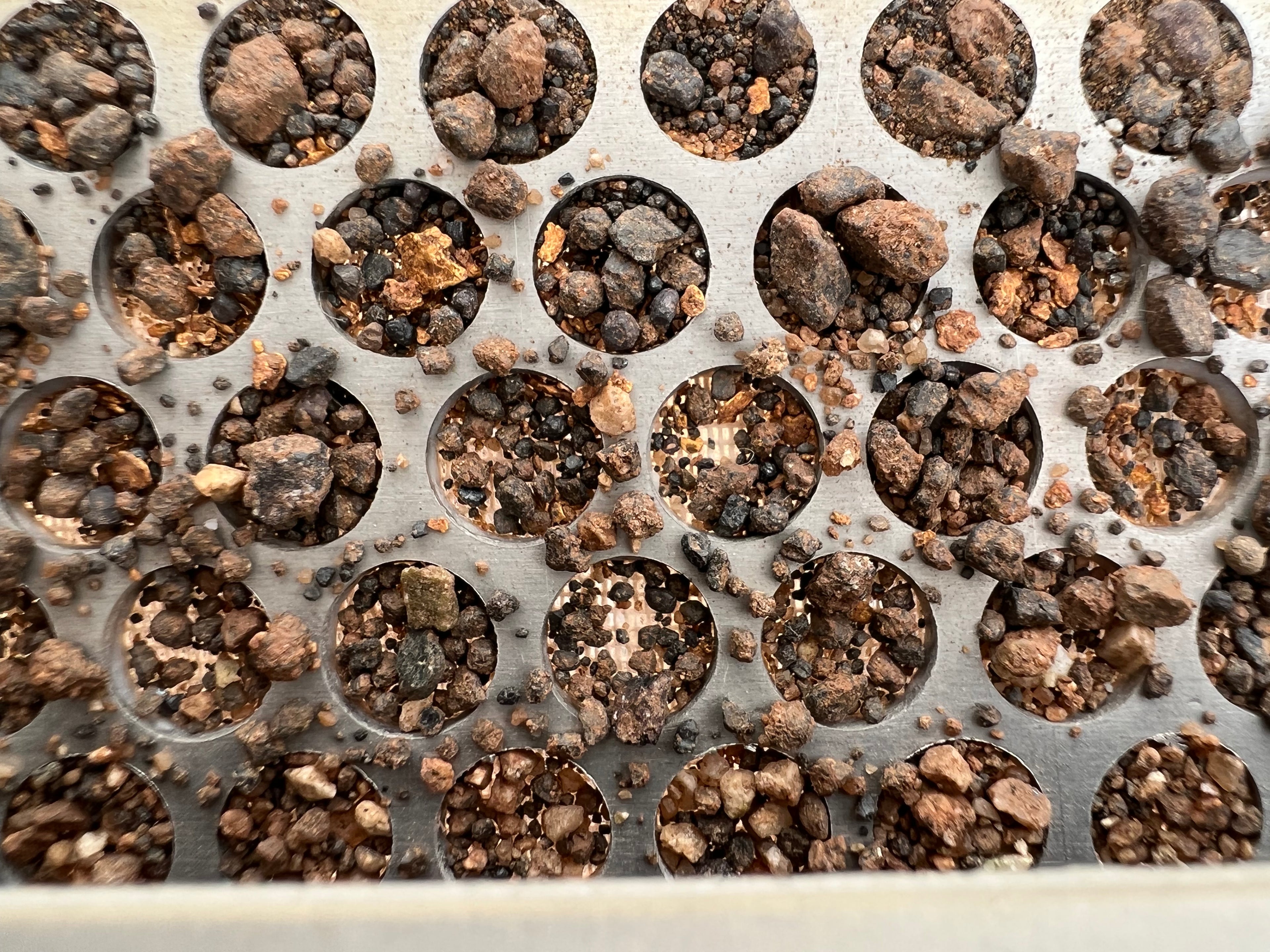 What 1/2 oz fine gold looks like in the supercon tray at end of day re-run.